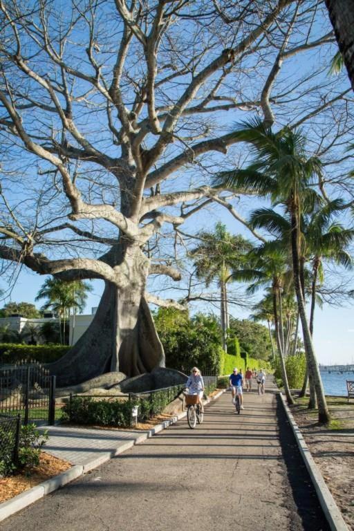 Palm Beach Hotel
