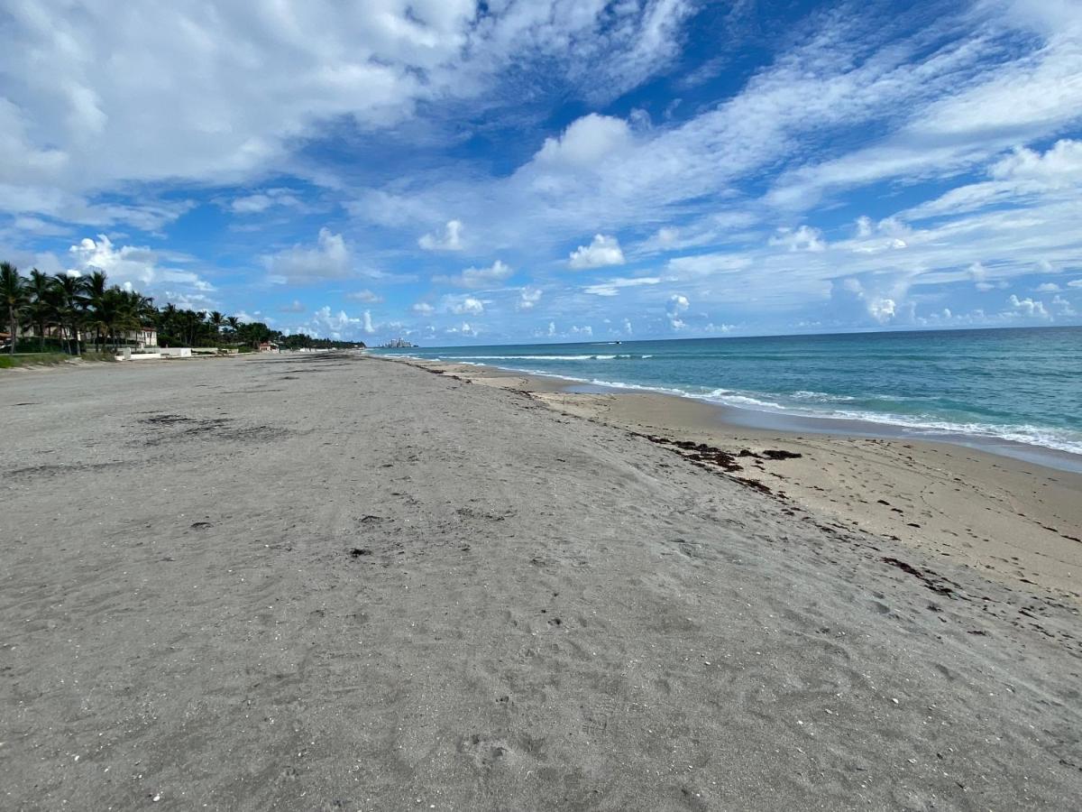 Palm Island Palm Beach