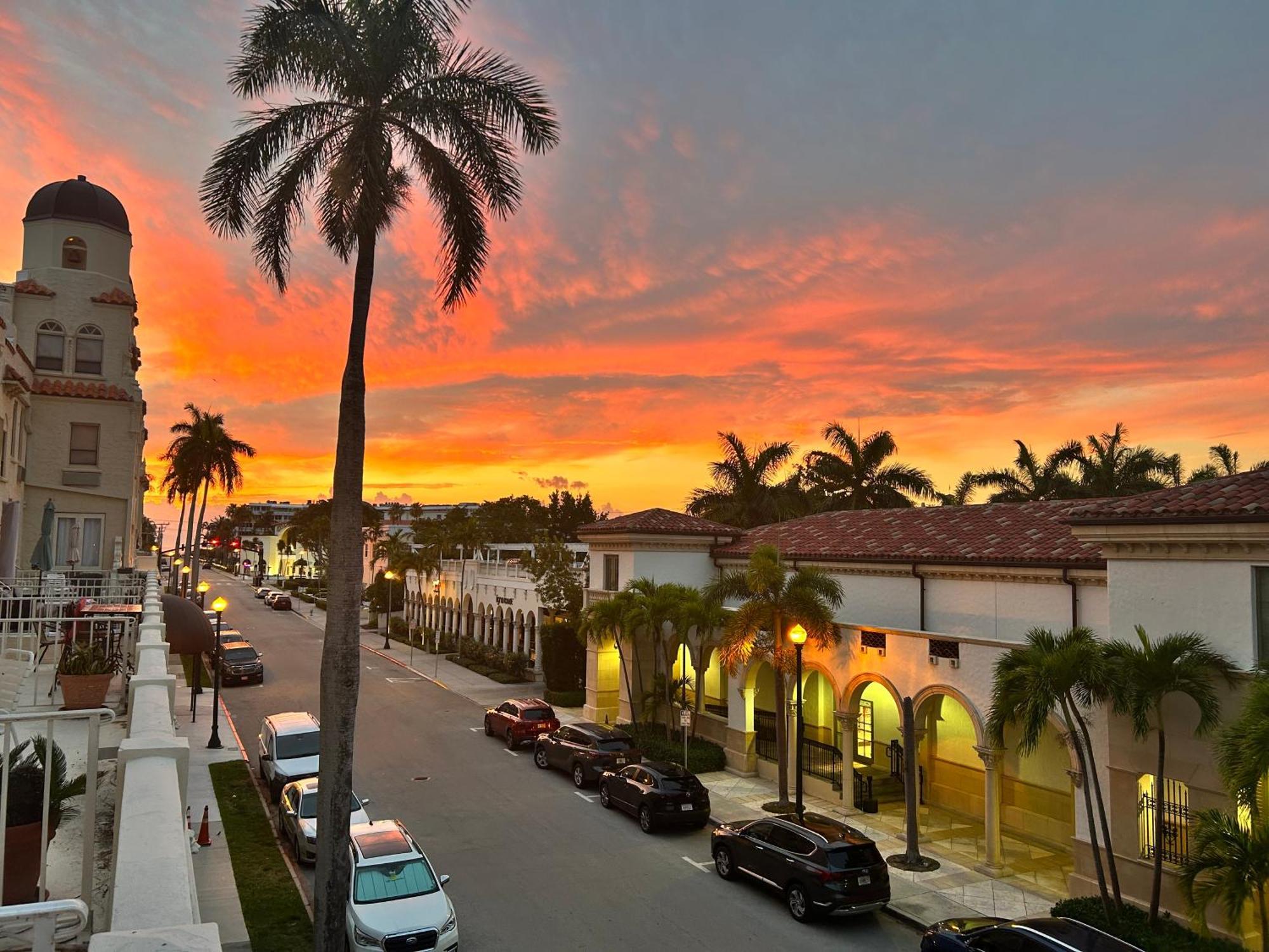 Apartment Orchid - Historic Palm